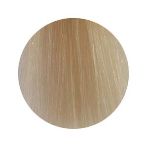 PBF Absolute Level 10 Colours (80mL)