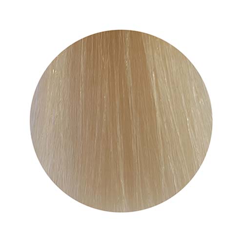 PBF Absolute Level 10 Colours (80mL)