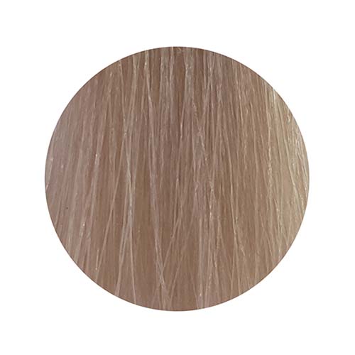 PBF Absolute Level 10 Colours (80mL)