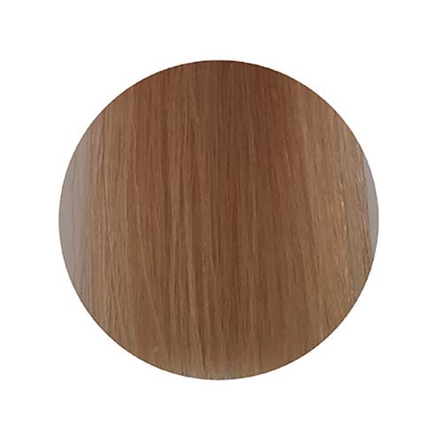 PBF Absolute Level 10 Colours (80mL)