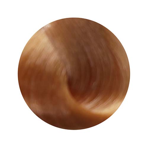 PBF Absolute Level 10 Colours (80mL)