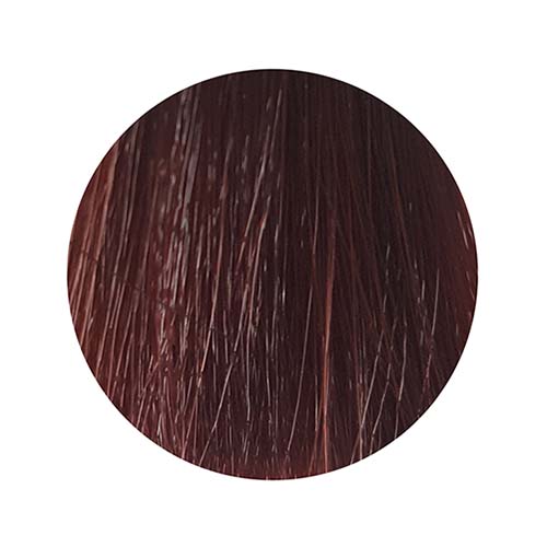 PBF Absolute Level 5 Colours (80mL)