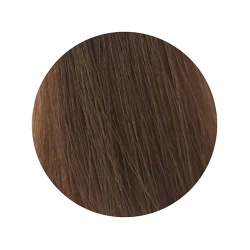 PBF Absolute Level 7 Colours (80mL)