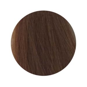 PBF Absolute Level 7 Colours (80mL) - Image 10