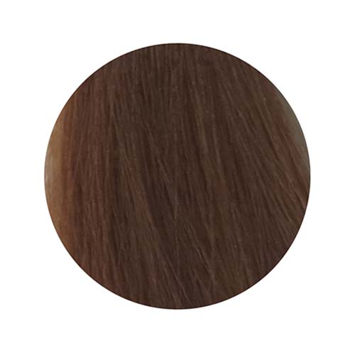 PBF Absolute Level 7 Colours (80mL)