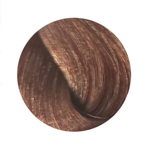 PBF Absolute Level 7 Colours (80mL) - Image 13