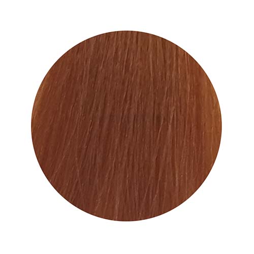 PBF Absolute Level 7 Colours (80mL)