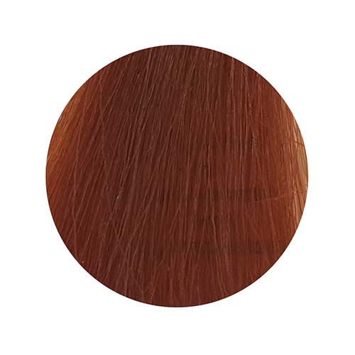 PBF Absolute Level 7 Colours (80mL)