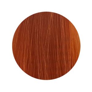 PBF Absolute Level 7 Colours (80mL) - Image 17