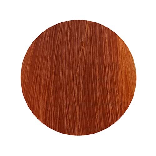 PBF Absolute Level 7 Colours (80mL)