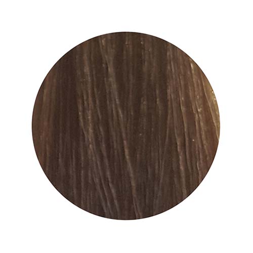 PBF Absolute Level 7 Colours (80mL)