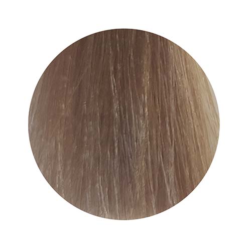 PBF Absolute Level 8 Colours (80mL)