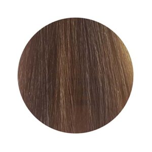 PBF Absolute Level 8 Colours (80mL) - Image 2