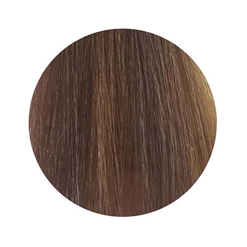 PBF Absolute Level 8 Colours (80mL)