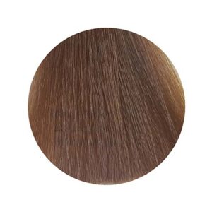 PBF Absolute Level 8 Colours (80mL) - Image 3