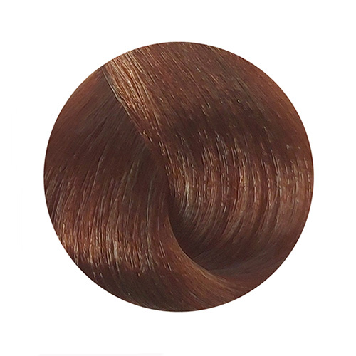 PBF Absolute Level 8 Colours (80mL)