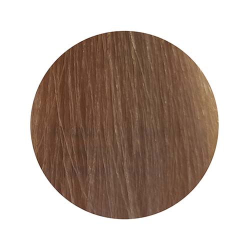 PBF Absolute Level 8 Colours (80mL)