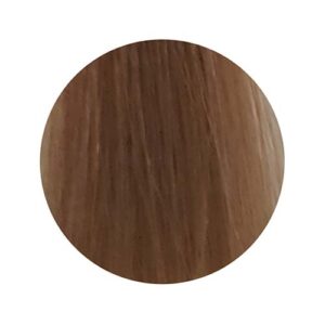 PBF Absolute Level 8 Colours (80mL) - Image 11