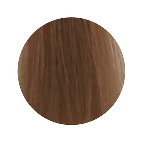 PBF Absolute Level 8 Colours (80mL)