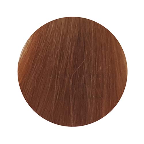 PBF Absolute Level 8 Colours (80mL)