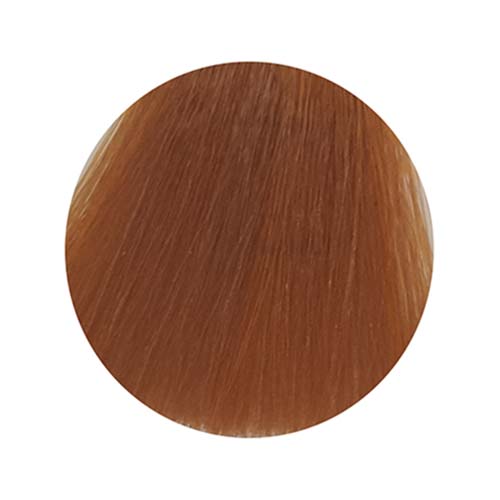 PBF Absolute Level 8 Colours (80mL)