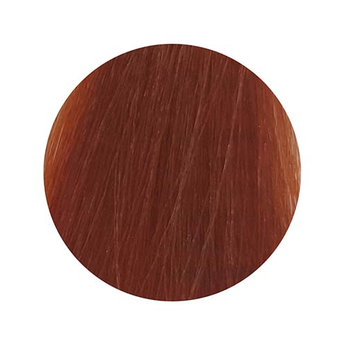 PBF Absolute Level 8 Colours (80mL)