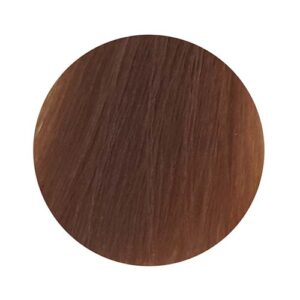 PBF Absolute Level 8 Colours (80mL) - Image 17