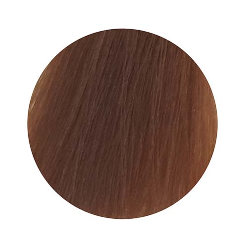 PBF Absolute Level 8 Colours (80mL)