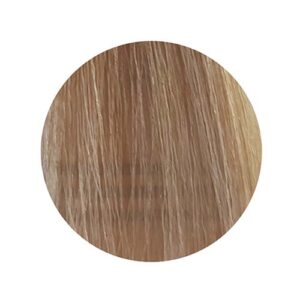 PBF Absolute Level 9 Colours - Image 2