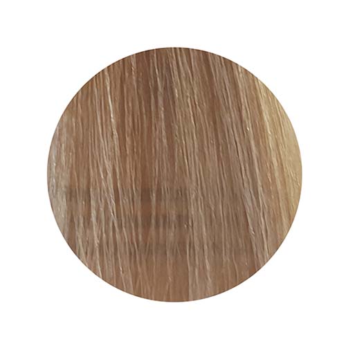 PBF Absolute Level 9 Colours