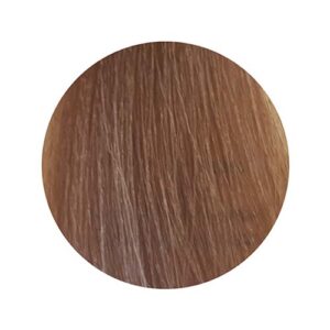 PBF Absolute Level 9 Colours - Image 3