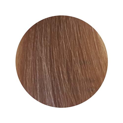 PBF Absolute Level 9 Colours