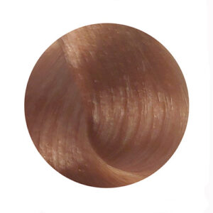 PBF Absolute Level 9 Colours - Image 4