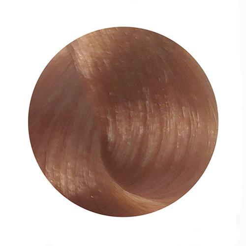 PBF Absolute Level 9 Colours