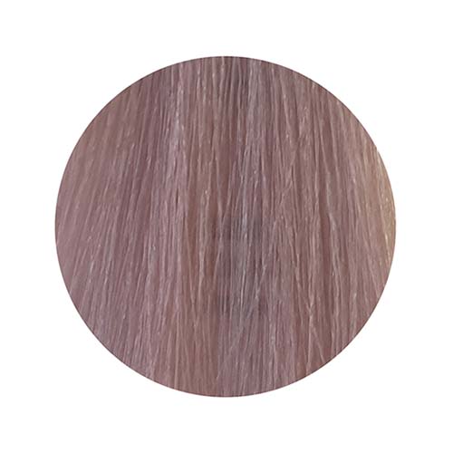 PBF Absolute Level 9 Colours