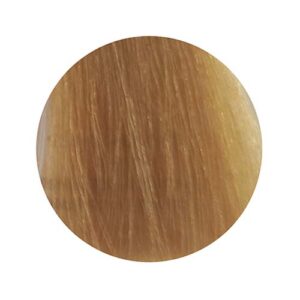 PBF Absolute Level 9 Colours - Image 10