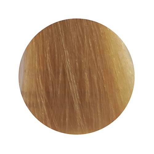 PBF Absolute Level 9 Colours