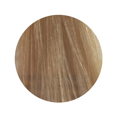 PBF Absolute Level 9 Colours