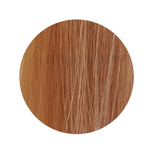 PBF Absolute Level 9 Colours