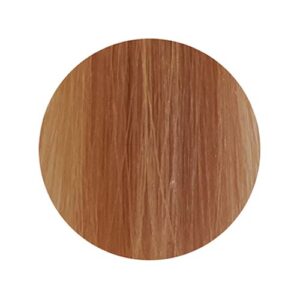 PBF Absolute Level 9 Colours - Image 14