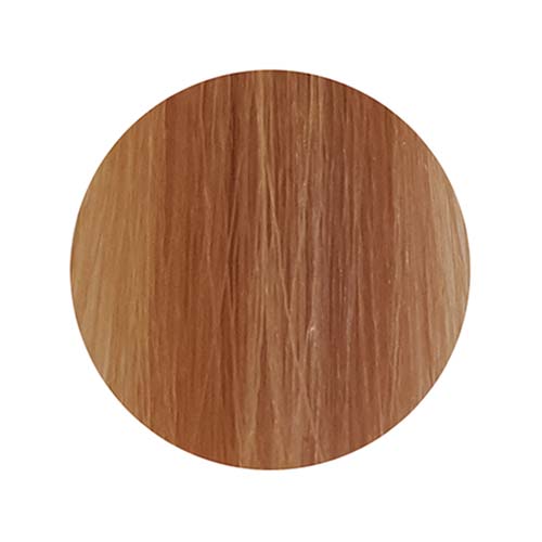 PBF Absolute Level 9 Colours