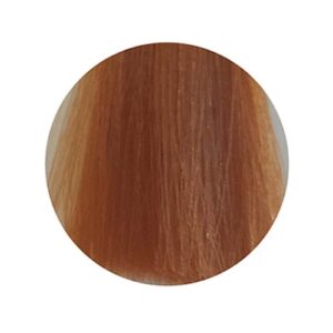 PBF Absolute Level 9 Colours - Image 15