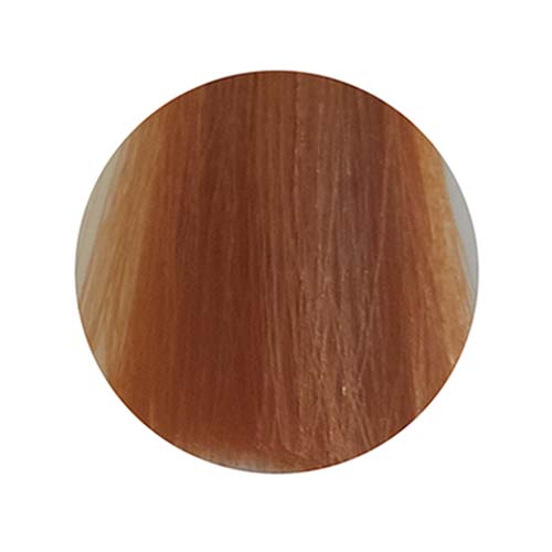 PBF Absolute Level 9 Colours