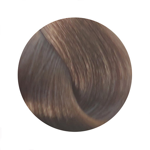 PBF Absolute Level 9 Colours