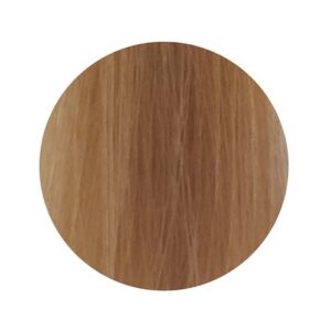 PBF Absolute Level 9 Colours - Image 18