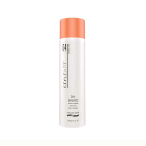 N/L StyleArt Dry Shampoo (175g) HF04