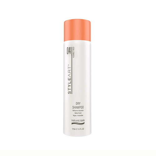 N/L StyleArt Dry Shampoo (175g) HF04