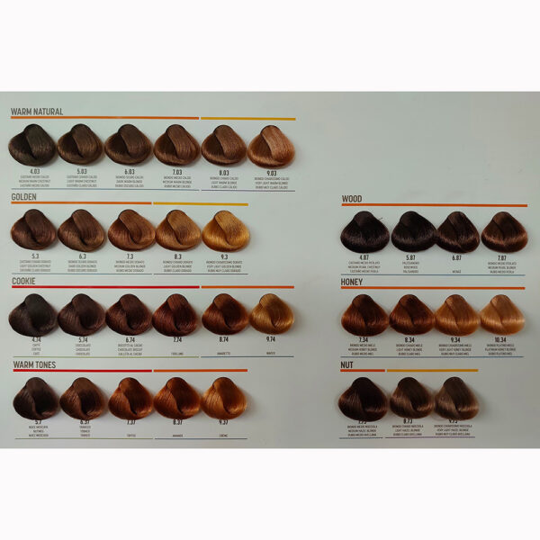 Colour Chart: PBF Absolute Permanent Colours 2024