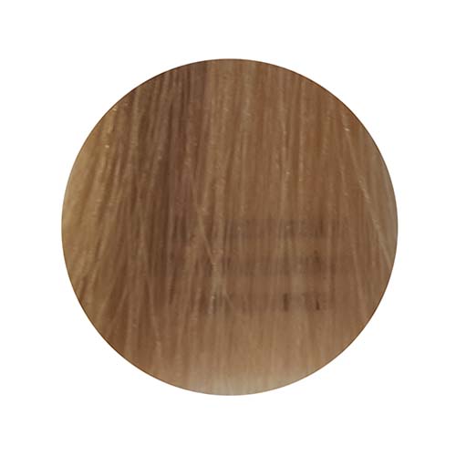 PBF All Toners (80mL)