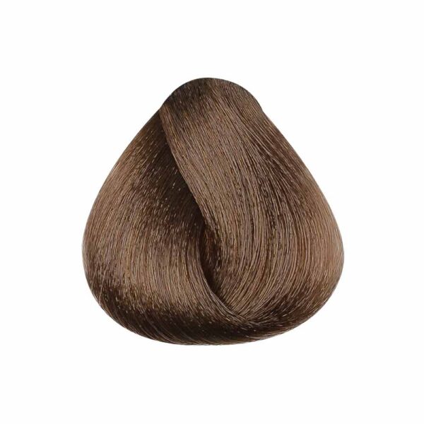 PBF Beat Level 6 Colours (60mL)